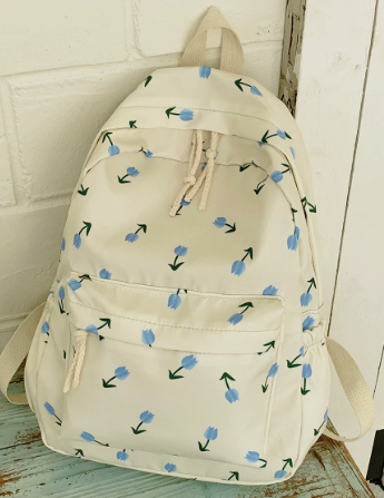 College Style Backpack School
