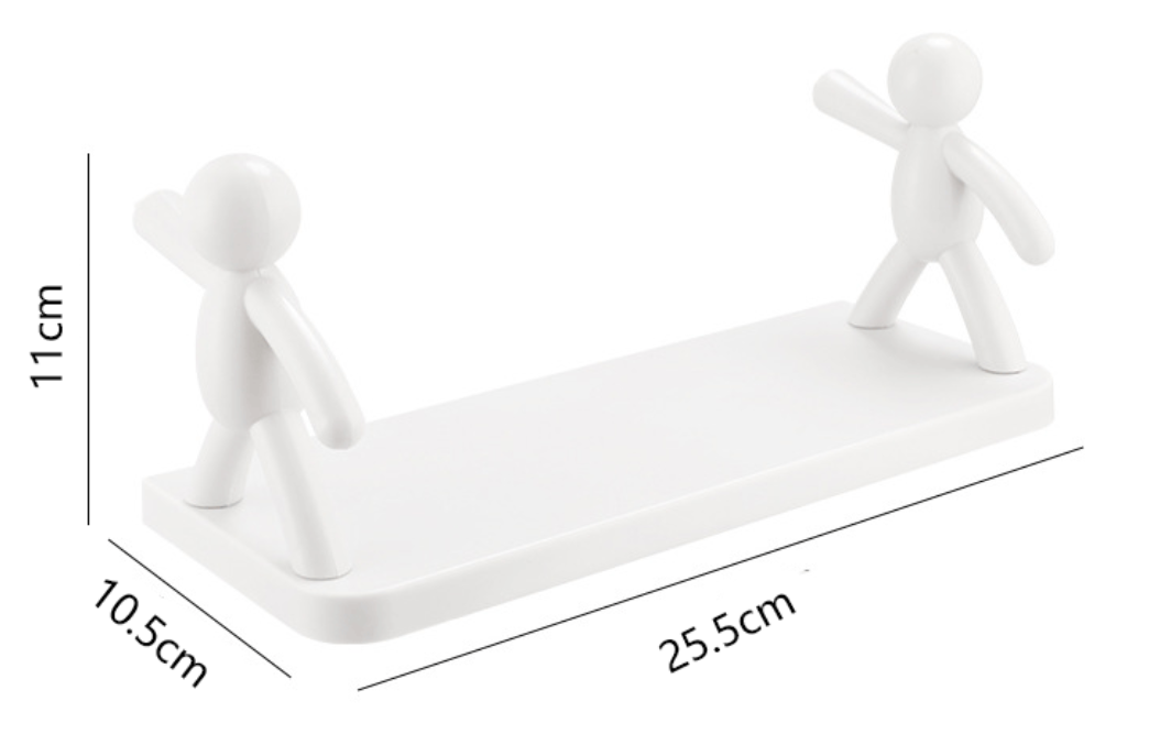 Storage Rack Shelf Metal Wall Mount (YCS-STO-043)