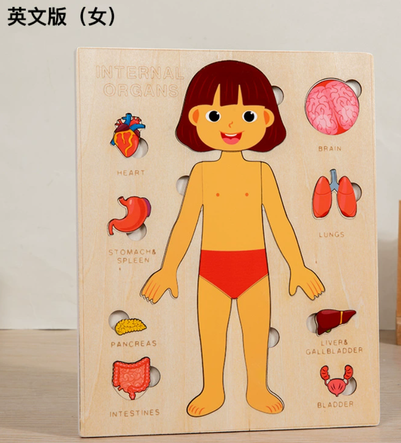 Jigsaw Puzzle Educational Kids (YCS-TOY-057)