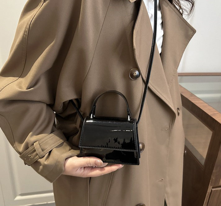 Mini Cute Flap Square Crossbody